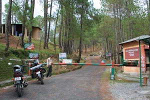Best Tour Operators Binsar