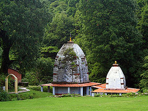 Best Tour Package Binsar