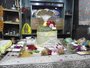 best travel company Jageshwar