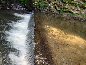 Best Tour Operators Jageshwar
