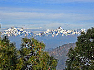 best travel company Binsar