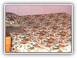 Jageshwar Hotels and resorts