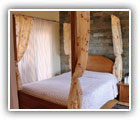 Binsar Hotels and resorts