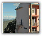 Binsar Hotels and resorts