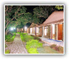 Jim corbett national park Hotels and resorts