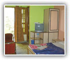 Lohaghat Hotels