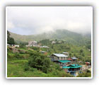 Pangot Hotels