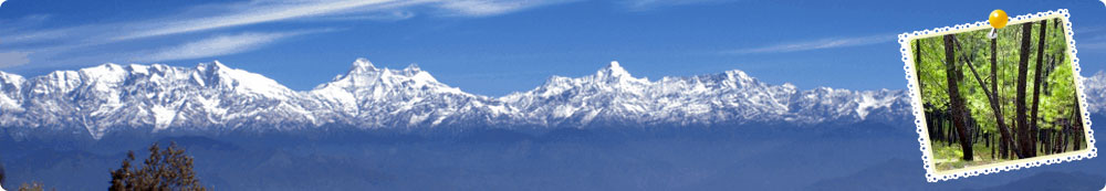 best travel agent Binsar