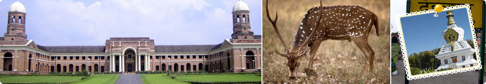 Dehradun Best Tour Package