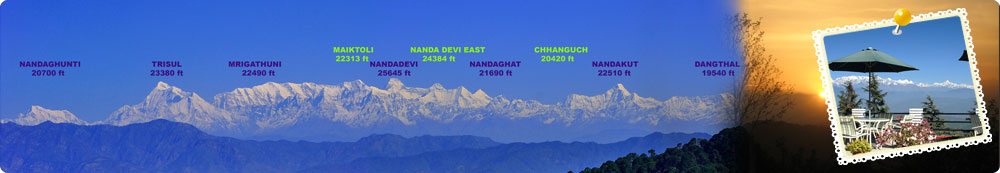 Best Tour Operators in kausani