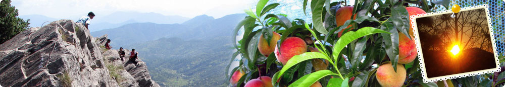 Mukteshwar Best Tour Package