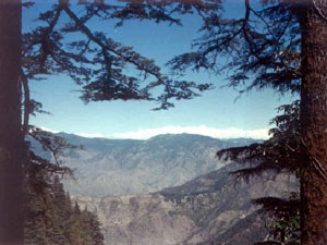 Mussoorie best travel company