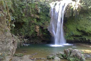 jim corbett national park Tour & Travels