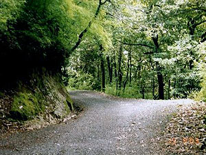 Mukteshwar Travel Agents