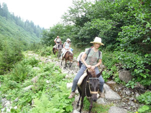 Nainital Best Tour Package