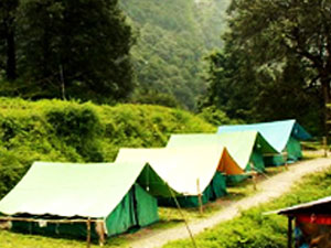 best travel company Pangot
