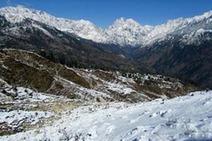 munsiyari Tour Operators